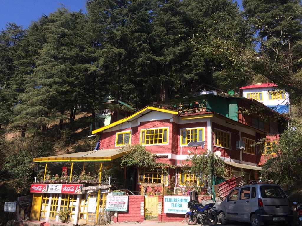 Mcleodganj Bed & Breakfast McLeod Ganj Eksteriør bilde